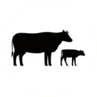 Find Agriculture service providers in South Africa - get quotes and save money on SESHA