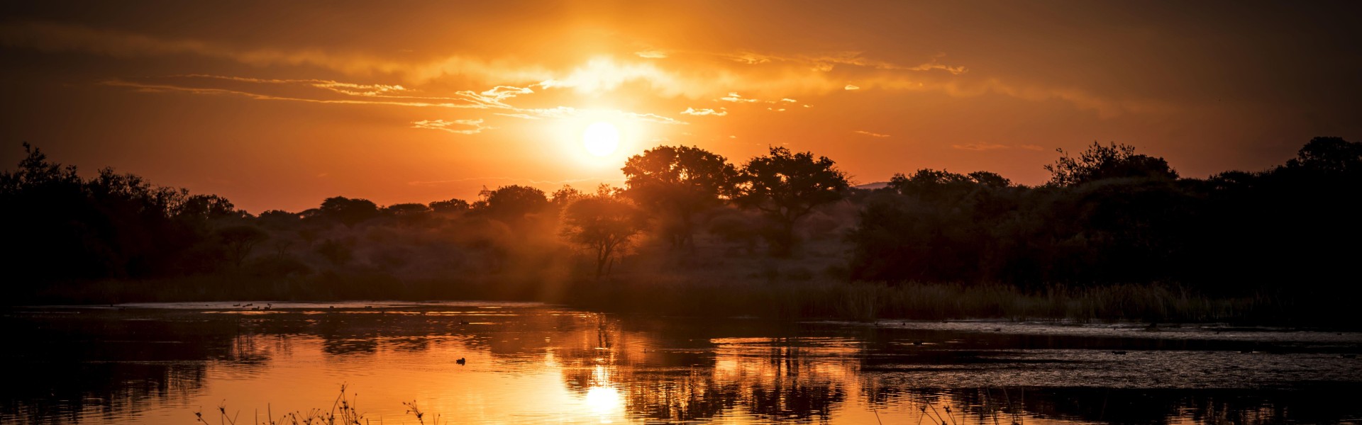 South Africa - SESHA helps fight unemployment, grow businesses, and generate passive income across all 9 provinces