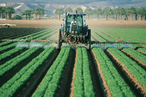 Find Agriculture businesses in South Africa - SESHA directory