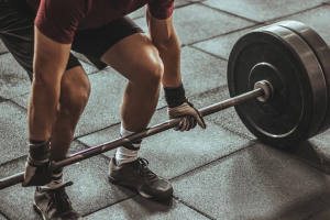 Find Fitness businesses in South Africa - SESHA directory