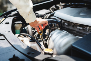 Find Automotive businesses in South Africa - SESHA directory